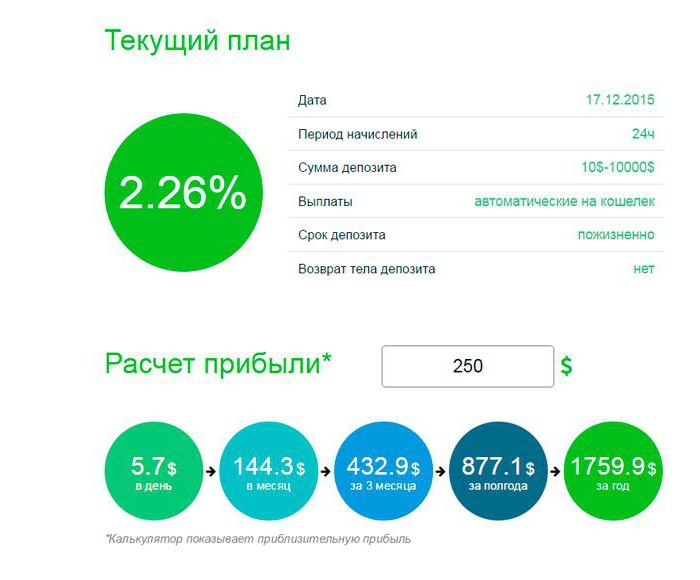 компания venture alliance