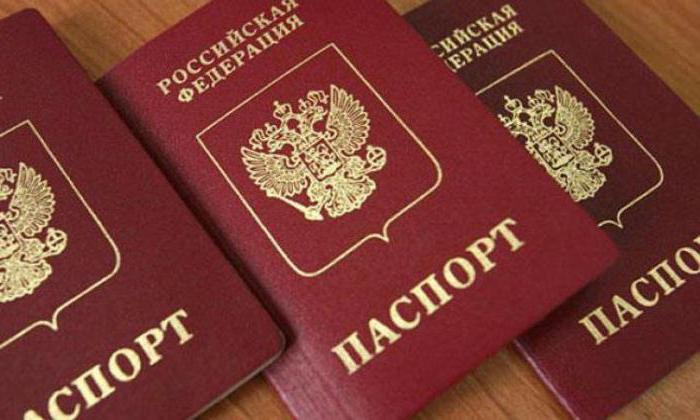 1977796 где восстановить полис омс при утере