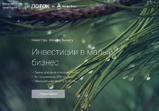 Инвестиции в малый бизнес