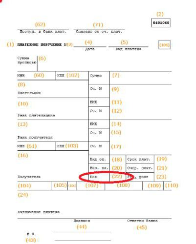 2176830 поля платежного поручения 22