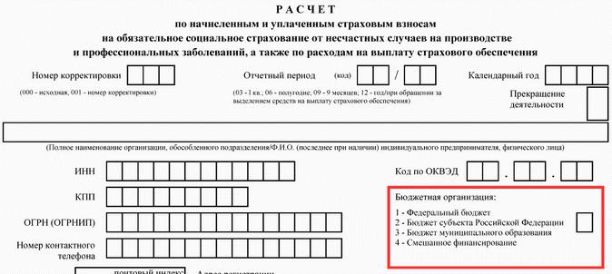 Отчет 4 ФСС