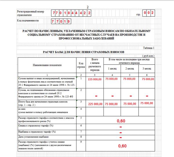 Отчет 4ФСС