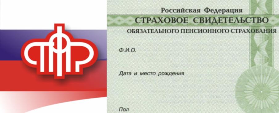 3013477 оформление снилс какие документы