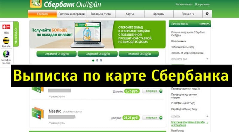 3091473 выписка по карте