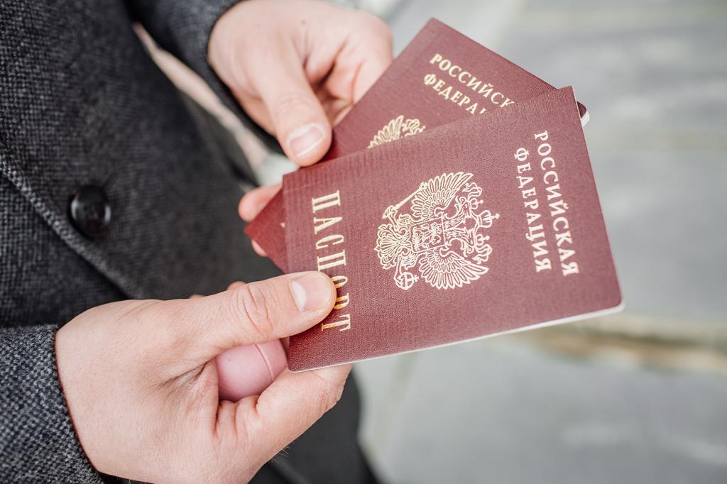 3099190 документы для регистрации после получения рвп