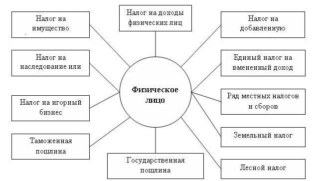 3142818 виды налогов