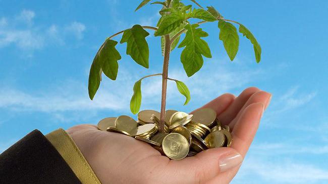sport invest biz отзывы